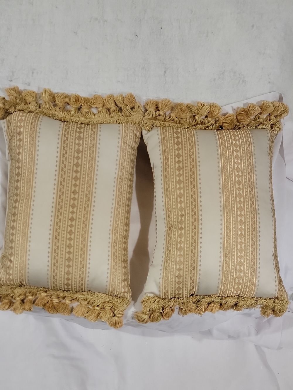 Decorative Cream and Gold Fringe Throw Pillow Pair - Unbranded